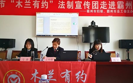 主页 >> 律师文化